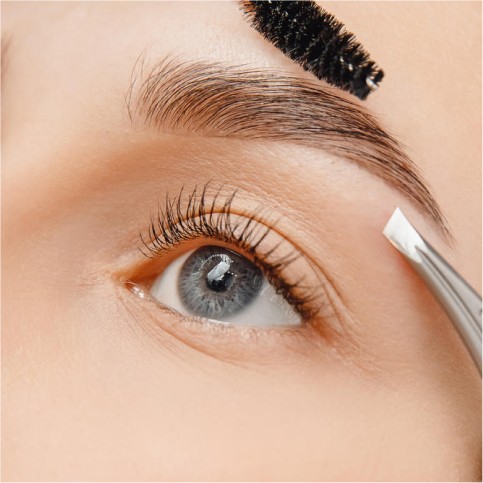 Lash & Brow 1 Day Masterclass (CPD Accredited)
